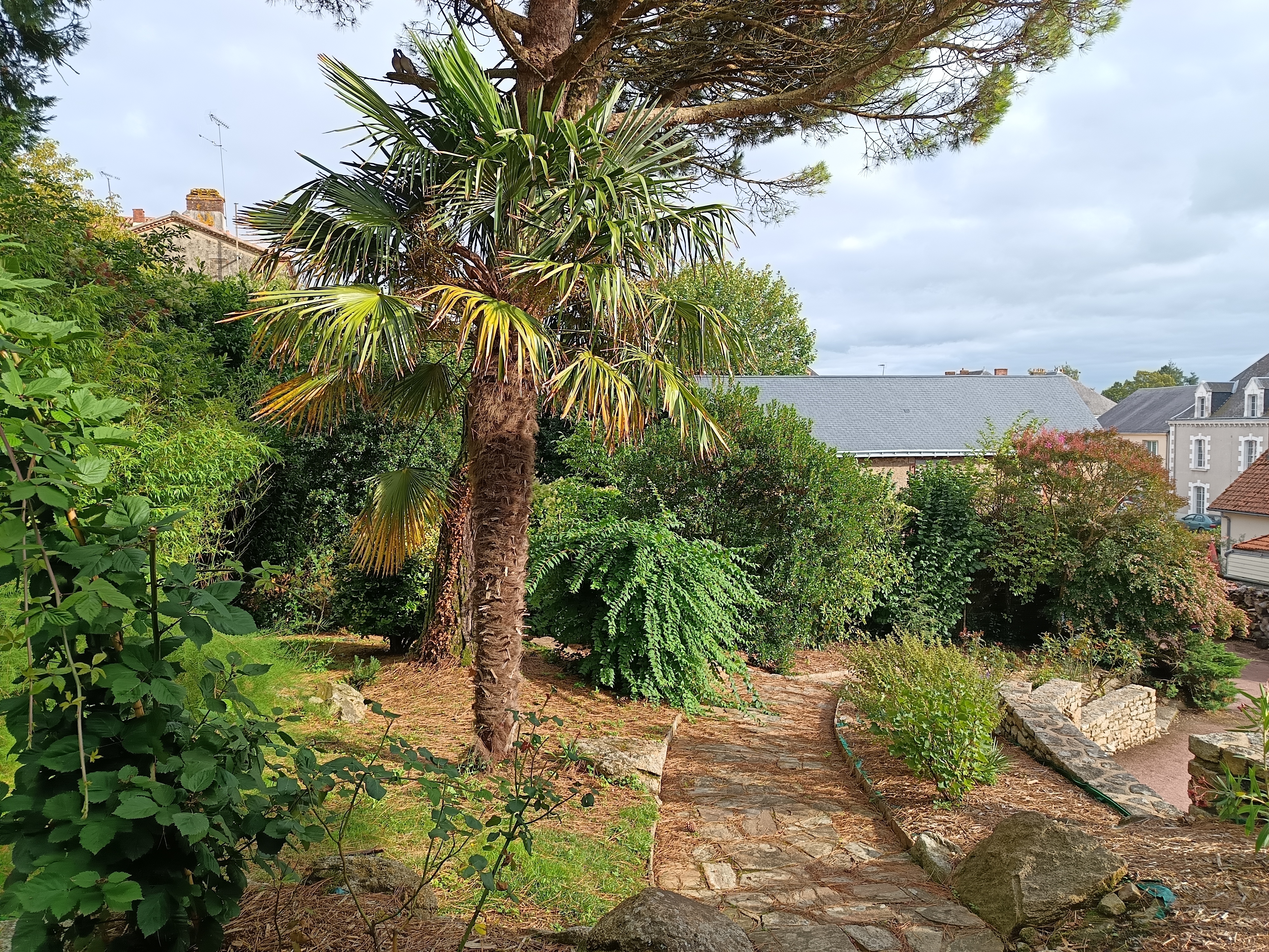 Maison Marguerite De Pouzauges